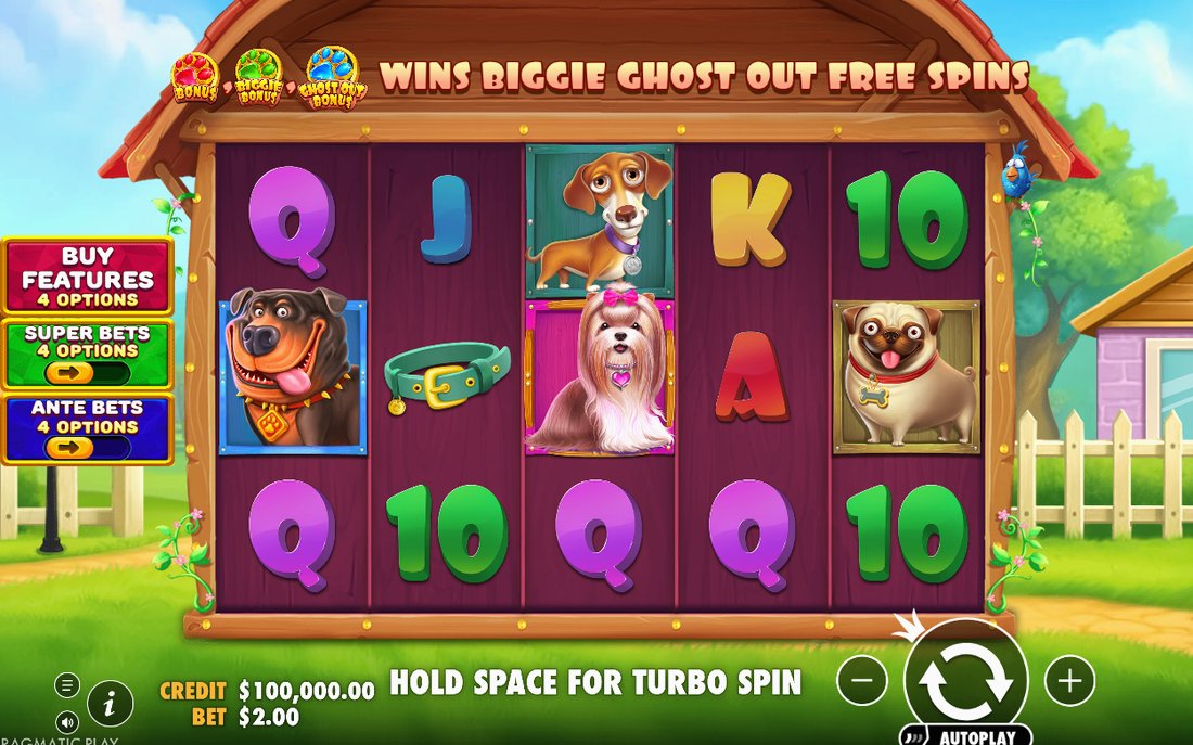 The Big Dog House